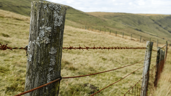 An old barbed wire fence in a hilly grassland